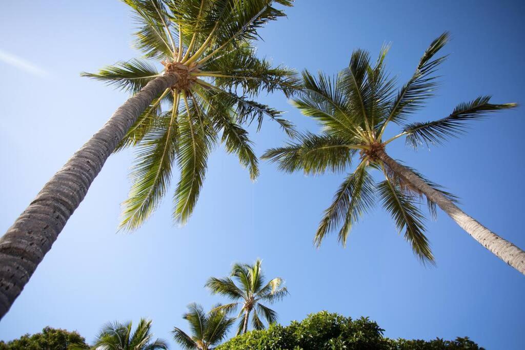 Airlie Sun & Sand Motel Accommodation #4 Airlie Beach Buitenkant foto